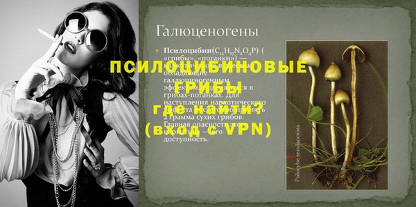прущая мука Бородино